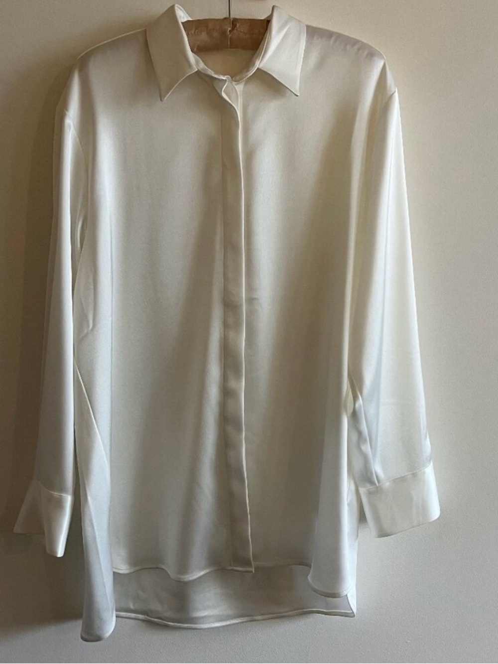 Aritzia Babaton Sable
Satin Shirt - S